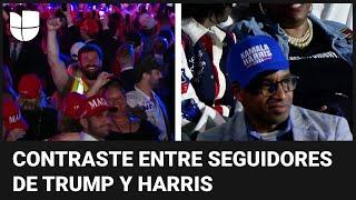 Euforia y tristeza: el contraste entre los seguidores de Trump y Harris ante el resultado electoral