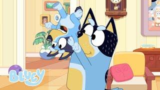 Hambre  | BLUEY CORTOS | Bluey - España Oficial