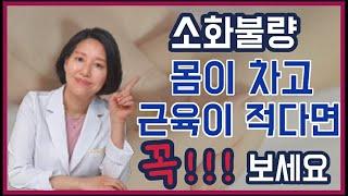 13. 소화불량 증상, 몸이 차고 근육이 적다면 ! 꼭 보세요~ ㅣ 한의학 박사 서울김 ㅣ ft 부부한의사