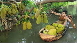 Cook coconut water with jackal