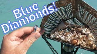 I Found A Ring Loaded With BLUE Diamonds! Beach Metal Detecting