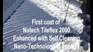 Nutech Paint Tile Roof Restoration.avi