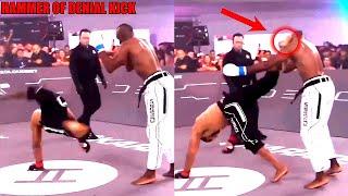 INSANE CAPOEIRA KICK!!! Former UFC Fighter lands the "Hammer of Denial Kick" (Rafael Alves)