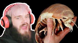 "It's isopod hour, do the dance!"