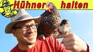 Großes Hühnervideo für Selbstversorger: Gesunde Hühner sind glückliche Hühner