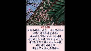 #법구경##김이현 定慧#禪어록,#참선 ,#선불교,#간화선 ,#명상,#수행,#수행#자신과의 만남,