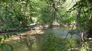 River Rouge, Wayne, Mi