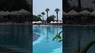 Кто с нами? Измир. Палома #travel #best #турция #измир #izmir #dance #people #resort #beautiful