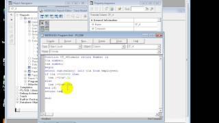 Oracle Reports: Manual report with  manual function