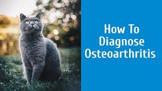 How To Diagnose Osteoarthritis