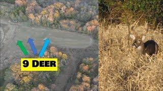 4K Aerial Scouting deer CRP & Food plots, How many do you see?