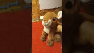 #hesfunny #funny