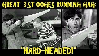 Great 3 Stooges Running Gag: "Hard-Headed!"