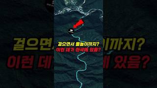 ️ 계곡 트레킹 +  물놀이 동시에 가능한 인제 아침가리계곡