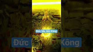 Đức Mẹ Mê Kông #avemaria #ducme #shorts