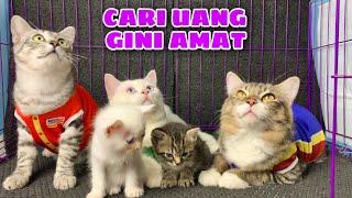 KUCING ALFAMART VS INDOMARET PENCARI NAFKAH UNTUK ANAK ANAK KUCING LUCU