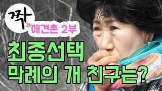 (Eng)최종선택!!!! 박막례의 개 짝꿍은....? [박막례 할머니]