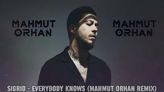 Sigrid - Everybody Knows (Mahmut Orhan Remix)