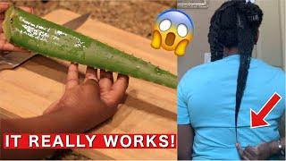 HOMEMADE ALOE VERA OIL TREATMENT FOR MASSIVE HAIR GROWTH! | NATURAL HAIR WASH DAY ROUTINE