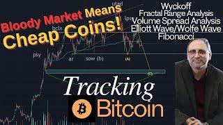 Tracking Bitcoin: Bloody Markets: Cheap Coins! #btc #bitcoin #crypto