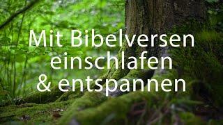 Waldgeräusche, Bibelverse & sanfte Musik zum Entspannen und Einschlafen | Biblische Meditation