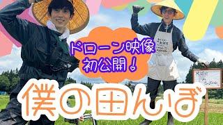 【米作り⑰】ドローン映像初公開！これが僕の田んぼです