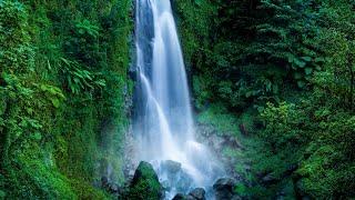 Roaring Waterfall White Noise | Falling Water Sounds for Sleeping