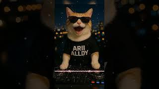 DJ Cat in the City! ARII ALLDY on the Beat 