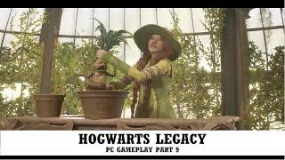 Exploration part 9 - Hogwarts Legacy