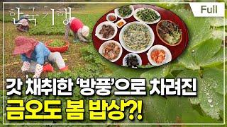 [Full] 한국기행 - 곳간 열리는 날 3부 지금, 금오도