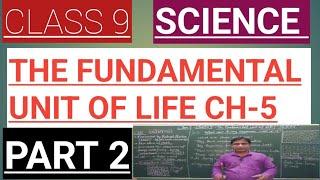 Class 9 The fundamental unit of life Ch 5 NCERT Line by line concept