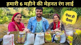 हमारी 6 महीने की मेहनत रंग लाई || pahadi lifestyle vlog