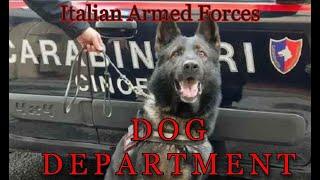 Italian Armed Forces DOG DEPARTMENT - Tribute Video