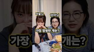 가장 멍청한 개는? #아재개그 #웃긴영상 #재밌는영상 #넌센스퀴즈 #넌센스 #개그 #유머 #가족