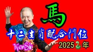 ️《馬》｜2025蛇年十二生肖｜《馬》配合家居環境｜生肖配八門吉兇｜宅命相配｜環境能量｜#2025蛇年 #生肖馬 #astrology