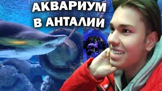 БЕСПЛАТНО ПОПАЛ В АКВАРИУМ! Почему планы сорвались? #влог ТУРЦИЯ АНТАЛИЯ