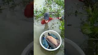 fishing for trout in river #fishing #fish #net #fisherman