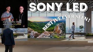 Sony Crystal LED Wall. No Doubt the best Video I've ever seen in my life and it's not close.