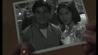 [SUBTITLE] NOTHING'S GONNA CHANGE MY LOVE FOR YOU - ca sĩ PHƯƠNG ĐẠI ĐỒNG