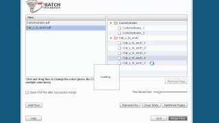 Batch PDF Merger demonstration