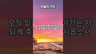 "믿음이 없이는 하나님을 기쁘시게 못하나니...상주시는 이심을 믿어야 할지니라"(히11:6) #오늘의기도 #은혜로운채널#그어떤것도 당연하지 않을 기억하사#비록 앞길이 보이지 않아도