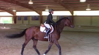 Cary Hundley and Sailor - Open Flat - Mount Saint Mary's at Goucher