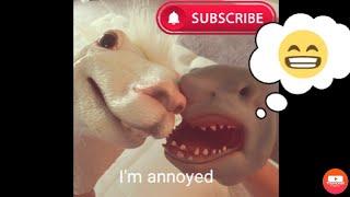 Annoying SHEEP jokes!