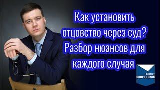 Как установить отцовство через суд