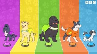 Meet the Dog Squad!  Songs | CBeebies