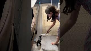 Wild Magpie Loves This 9-Year-Old Girl  | The Dodo