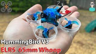 NewBeeDrone Hummingbird V3 BNF // Budget Racing Whoop