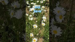 #박서진미운사랑#너와나에운명##
