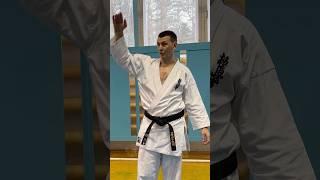 Кёкусинкай / Зимняя Школа ФКР-2025 / Кумитэ / Тест Кроссфит 7 минут / Дмитрий Савельев (7)