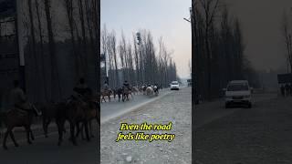 Kashmir—where every turn feels like a poem. 